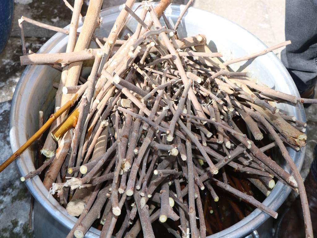 Kayseri'de 2 bin yıllık yöntemle kağıt üretimi.