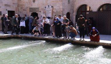 En büyük doğal akvaryum! Şanlıurfa'da güneşli havayı gören Balıklıgöl'e akın etti