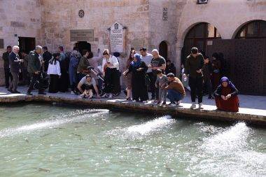 En büyük doğal akvaryum! Şanlıurfa'da güneşli havayı gören Balıklıgöl'e akın etti