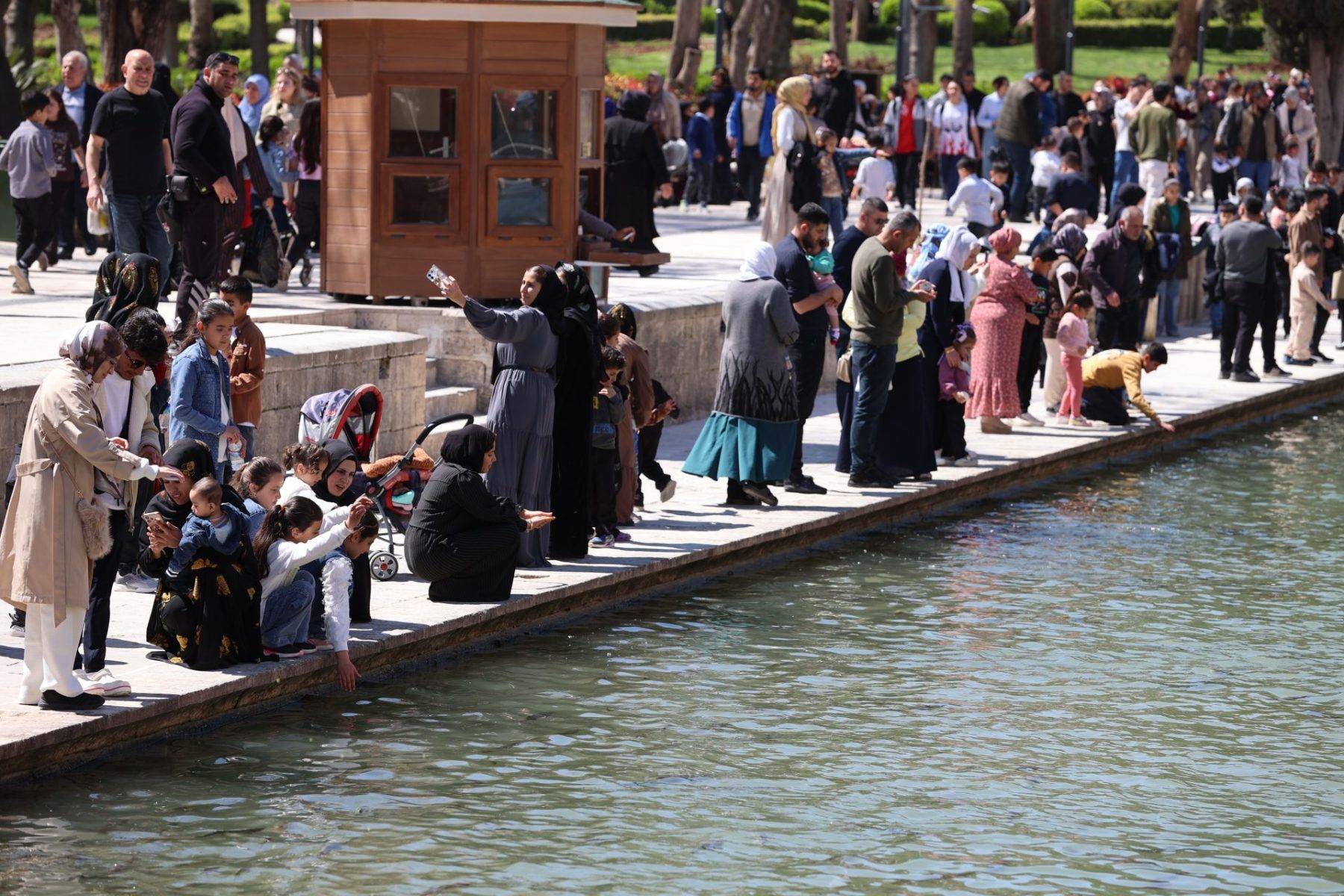 En büyük doğal akvaryum! Şanlıurfa'da güneşli havayı gören Balıklıgöl'e akın etti