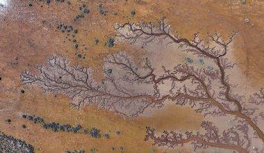 Kendiliğinden oluşan hayat ağacı! Kayseri'de göl havzasında ilginç görüntüler