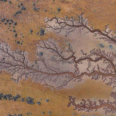 Kendiliğinden oluşan hayat ağacı! Kayseri'de göl havzasında ilginç görüntüler