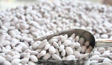 Elazığ badem şekeri