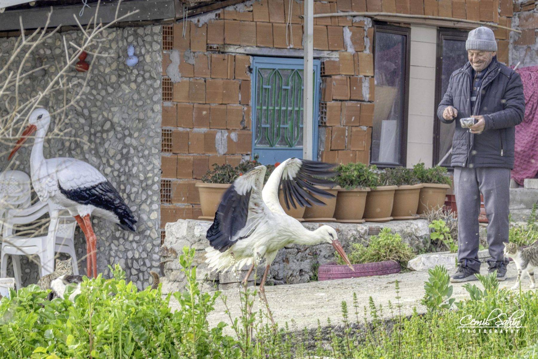 Bir kuş, bir insan ve 15 yıllık sadakat: Adem Amca ile Yaren’in büyük dostluğu