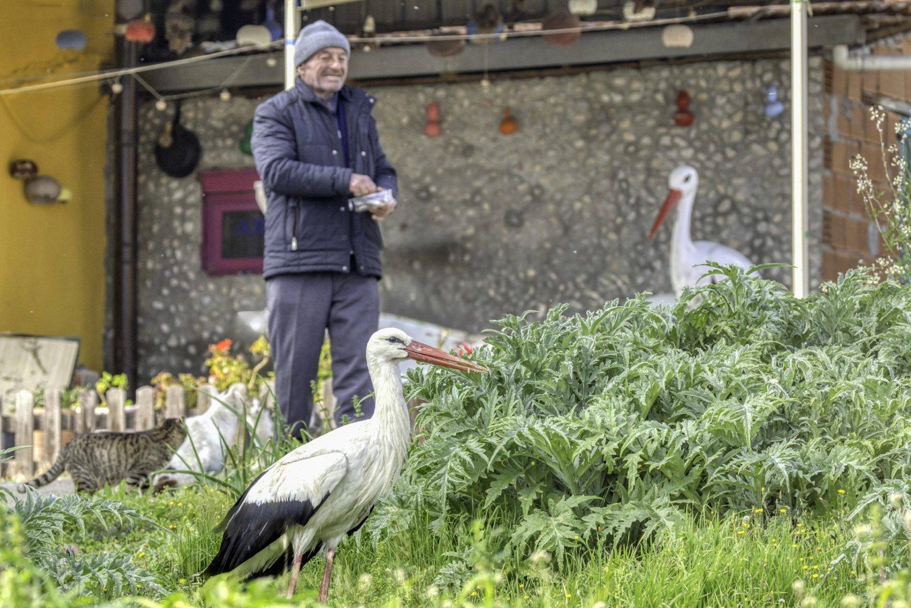 Bir kuş, bir insan ve 15 yıllık sadakat: Adem Amca ile Yaren’in büyük dostluğu