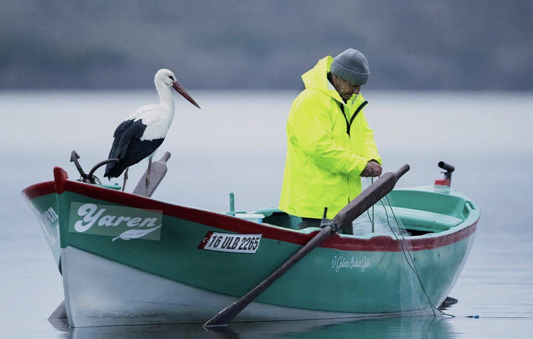 Bir kuş, bir insan ve 15 yıllık sadakat: Adem Amca ile Yaren’in büyük dostluğu