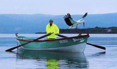 Bir kuş, bir insan ve 15 yıllık sadakat: Adem Amca ile Yaren’in büyük dostluğu