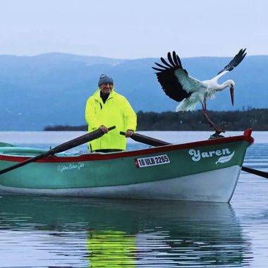 Bir kuş, bir insan ve 15 yıllık sadakat: Adem Amca ile Yaren’in büyük dostluğu