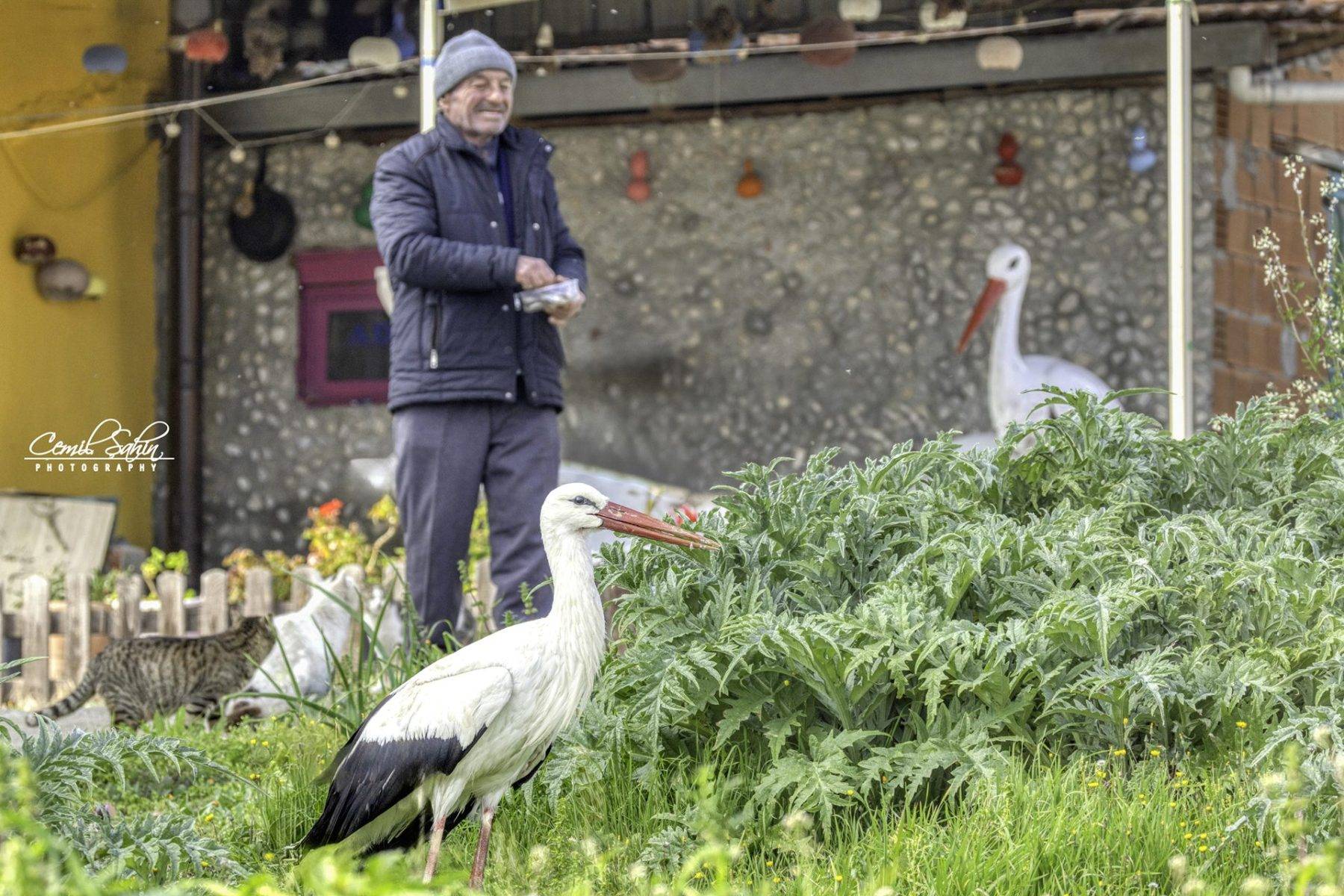 Bir kuş, bir insan ve 15 yıllık sadakat: Adem Amca ile Yaren’in büyük dostluğu