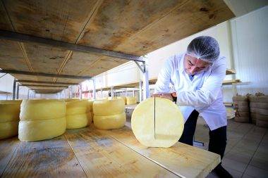 Türkiye’nin zengin mirası canlanıyor: Değerlerin Daveti’nde günün ürünü: Malkara eski kaşar peyniri