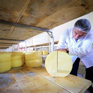 Türkiye’nin zengin mirası canlanıyor: Değerlerin Daveti’nde günün ürünü: Malkara eski kaşar peyniri