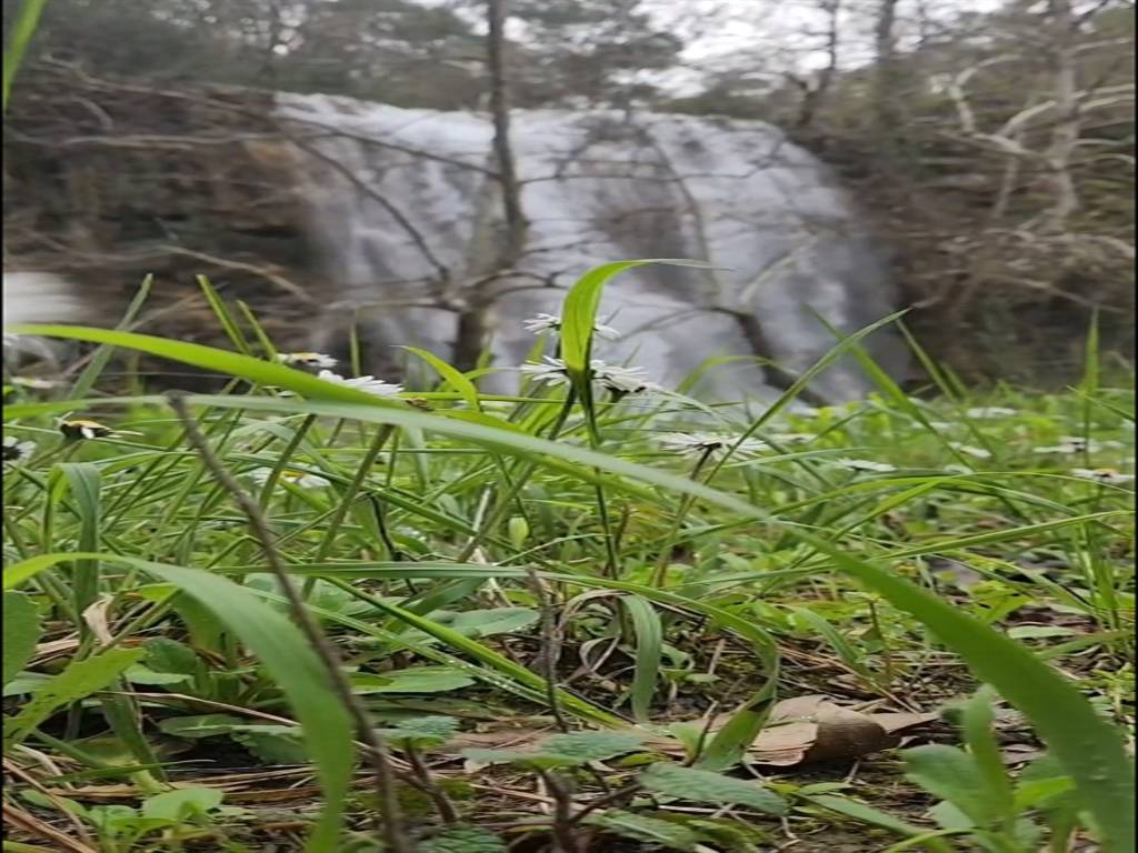 Devasa kayaların arasında saklı cennet: Adana'da kuruyan şelaleler coştu