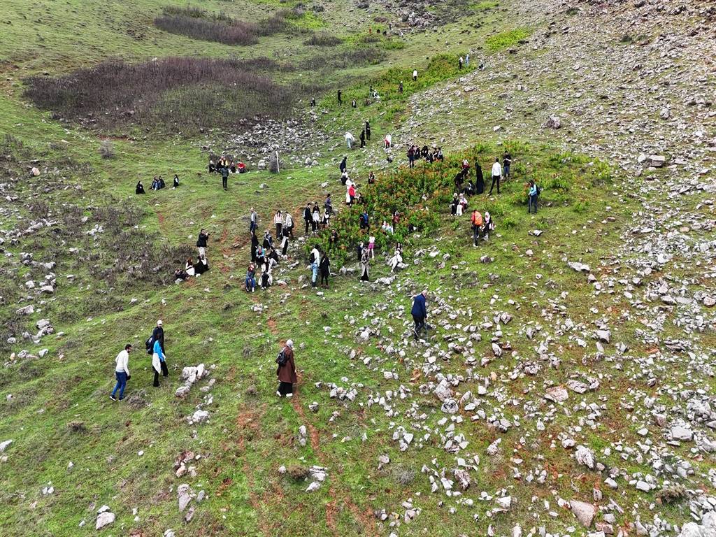 Görmek için dağa tırmandılar: Muş'ta ters laleler zirvelere renk kattı