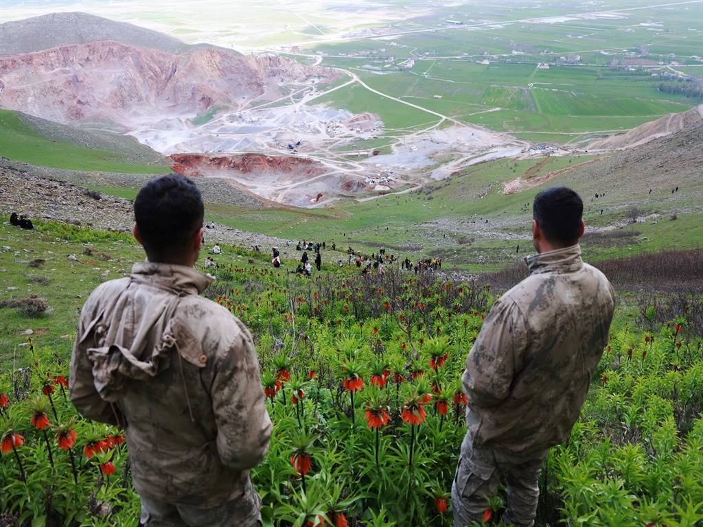 Görmek için dağa tırmandılar: Muş'ta ters laleler zirvelere renk kattı