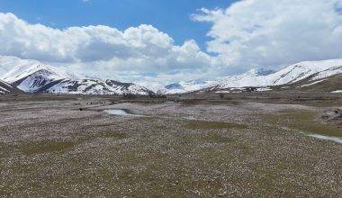 Karlar eridi, baharın habercisi çiğdemler Bitlis'i süsledi