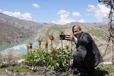Güzelliği kadar cezası da büyük: Ters laleler Şırnak'ta açtı