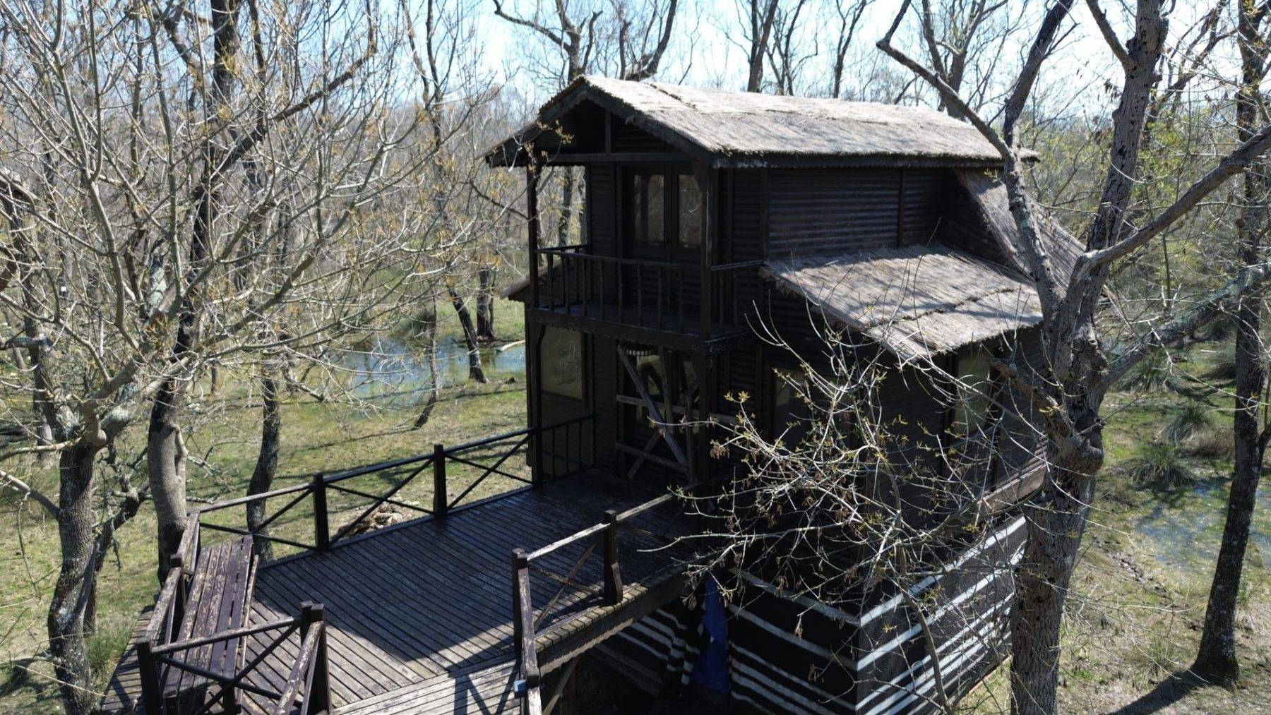 Yüzen ağaçların bölgesi: Galeriç Subasar Ormanları baharın gelişiyle canlandı