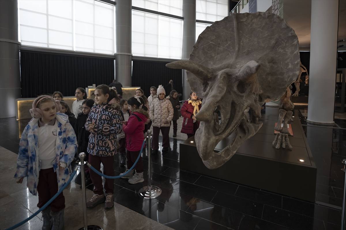 Toplanması 60 yıl sürdü: Atatürk Üniversitesi Biyoçeşitlilik Bilim Müzesi ziyaretçileri bekliyor