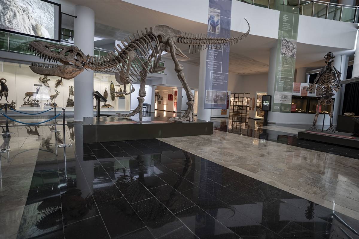 Toplanması 60 yıl sürdü: Atatürk Üniversitesi Biyoçeşitlilik Bilim Müzesi ziyaretçileri bekliyor