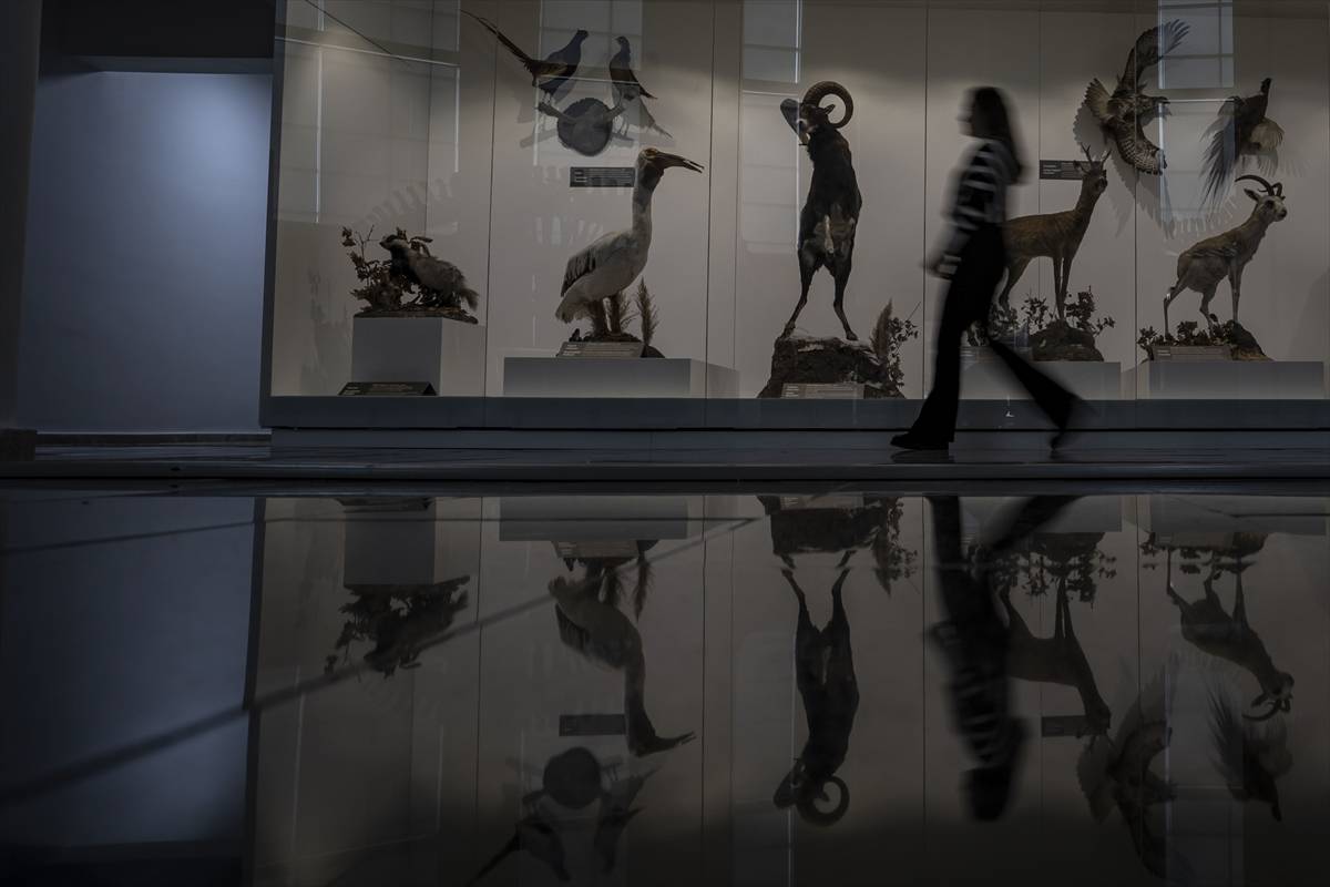 Toplanması 60 yıl sürdü: Atatürk Üniversitesi Biyoçeşitlilik Bilim Müzesi ziyaretçileri bekliyor