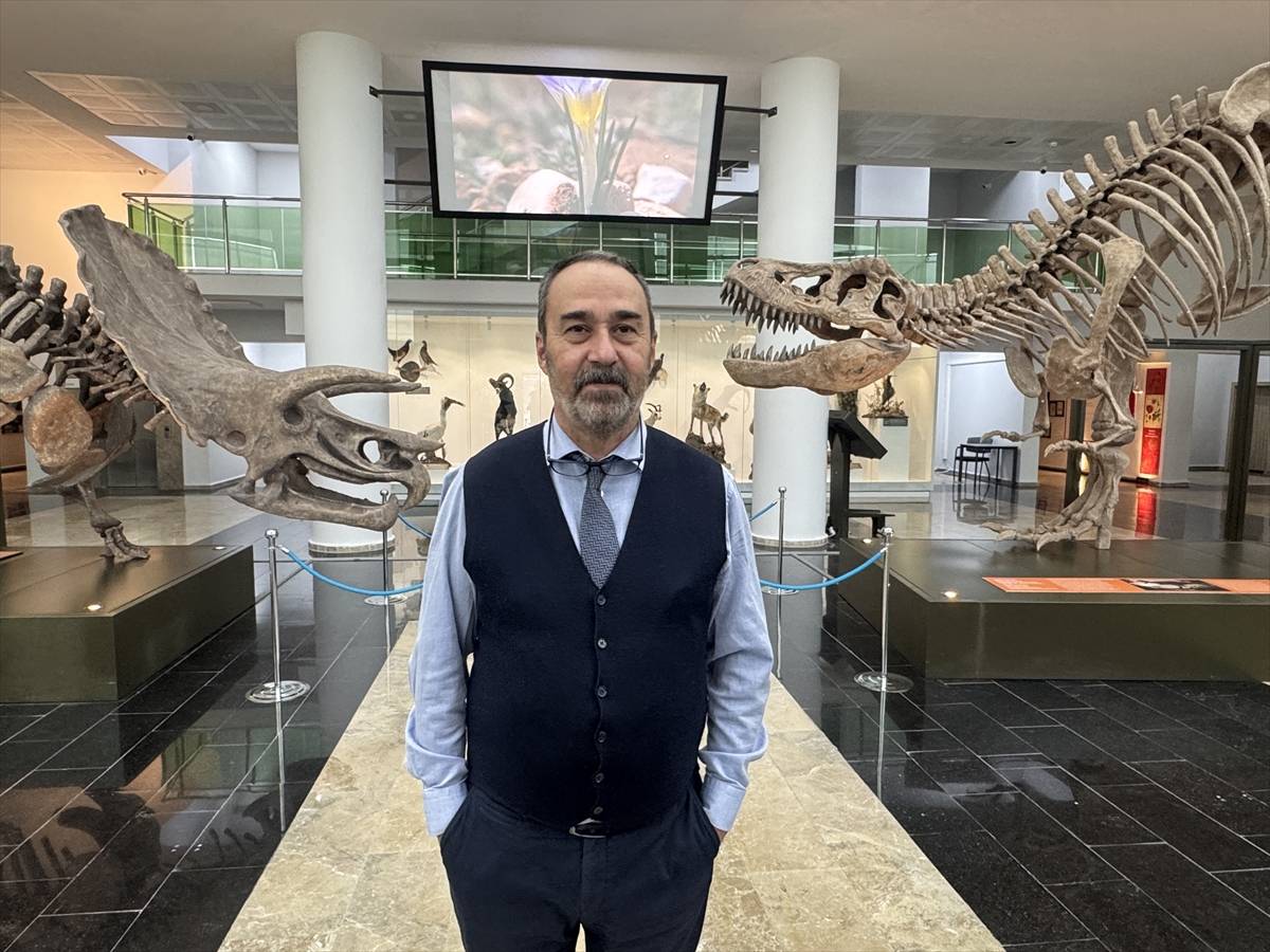 Toplanması 60 yıl sürdü: Atatürk Üniversitesi Biyoçeşitlilik Bilim Müzesi ziyaretçileri bekliyor