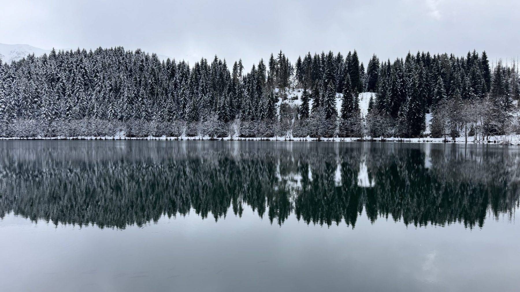 Beyaz örtü altında ayrı güzel: Karagöl Sahara Milli Parkı karla kaplandı