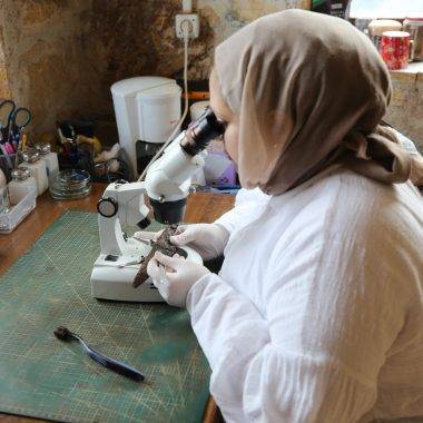 Tam 1500 yıllık! Hadrianopolis kazılarında bıçak seti ortaya çıktı