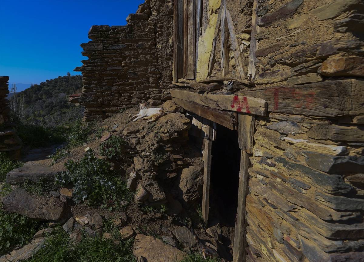 Kimsenin yaklaşmadığı hayalet köy! Lübbey köyü turizm ile canlanacak