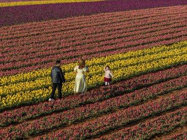 Karaman'da uçsuz bucaksız lale bahçeleri ziyaretçilere kapılarını açtı