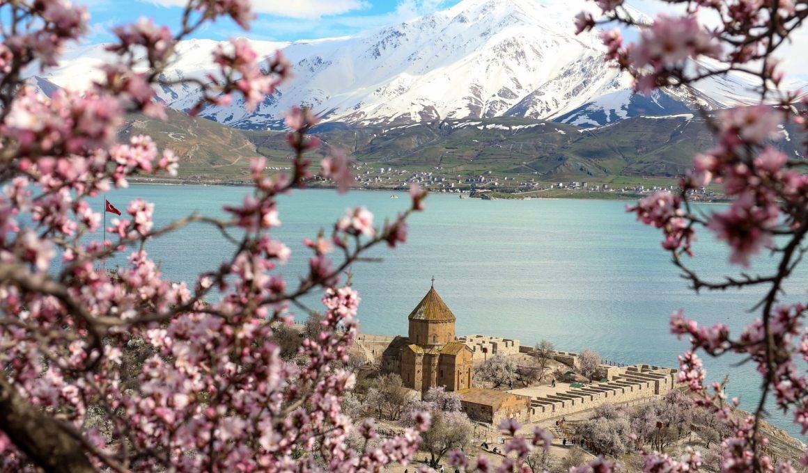 Van Gölü'nün incisi Akdamar Adası, badem ağacı çiçekleri ile süslendi