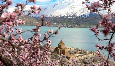 Van Gölü'nün incisi Akdamar Adası, badem ağacı çiçekleri ile süslendi