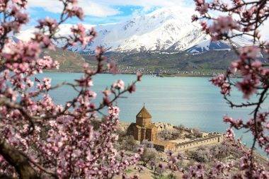 Van Gölü'nün incisi Akdamar Adası, badem ağacı çiçekleri ile süslendi