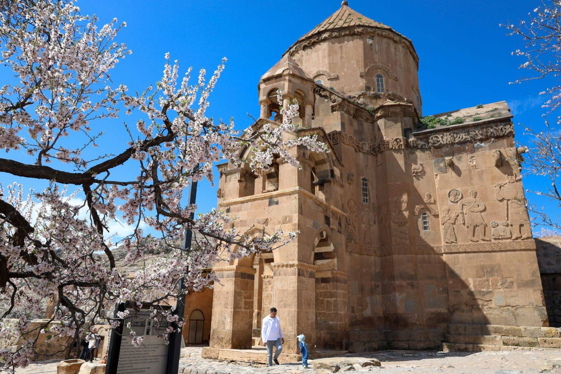 Van Gölü'nün incisi Akdamar Adası, badem ağacı çiçekleri ile süslendi
