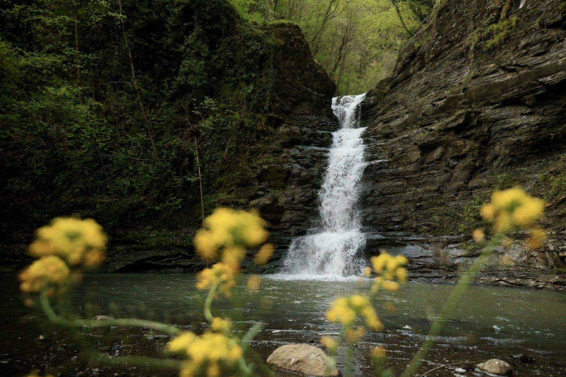 Yeşil örtü arasına saklanmış bir inci: Kabaceviz Şelaleleri 