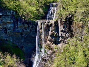 Yeşil örtü arasına saklanmış bir inci: Kabaceviz Şelaleleri