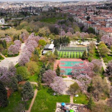 Yeşil ve morun eşsiz uyumu: Gaziantep'te parklar pavlonya ile süslendi