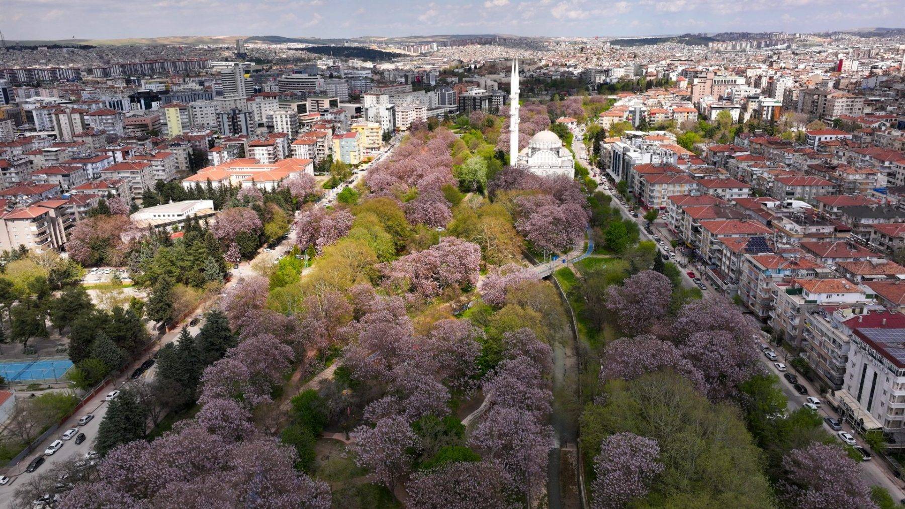 Yeşil ve morun eşsiz uyumu: Gaziantep'te parklar pavlonya ile süslendi