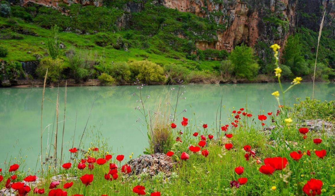 İlkbaharın renkleri 5 bin yıllık Kızılin Kanyonu ile buluştu