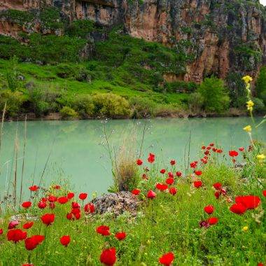 İlkbaharın renkleri 5 bin yıllık Kızılin Kanyonu ile buluştu