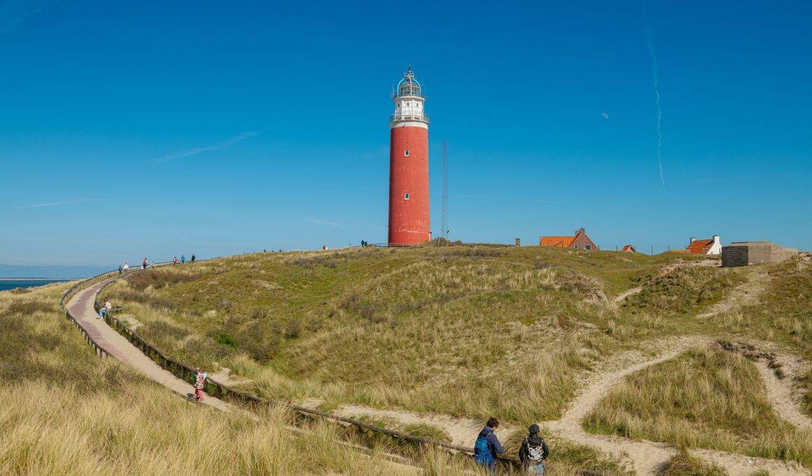 Lale tarlaları, koyunları ve sahiliyle Hollanda'nın sakin destinasyonu: Texel Adası
