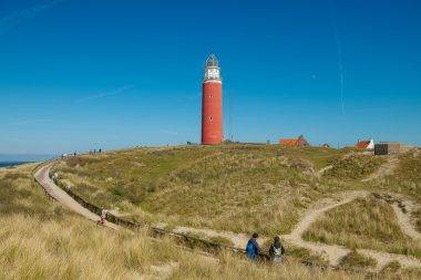 Lale tarlaları, koyunları ve sahiliyle Hollanda'nın sakin destinasyonu: Texel Adası