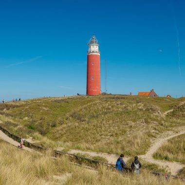 Lale tarlaları, koyunları ve sahiliyle Hollanda'nın sakin destinasyonu: Texel Adası