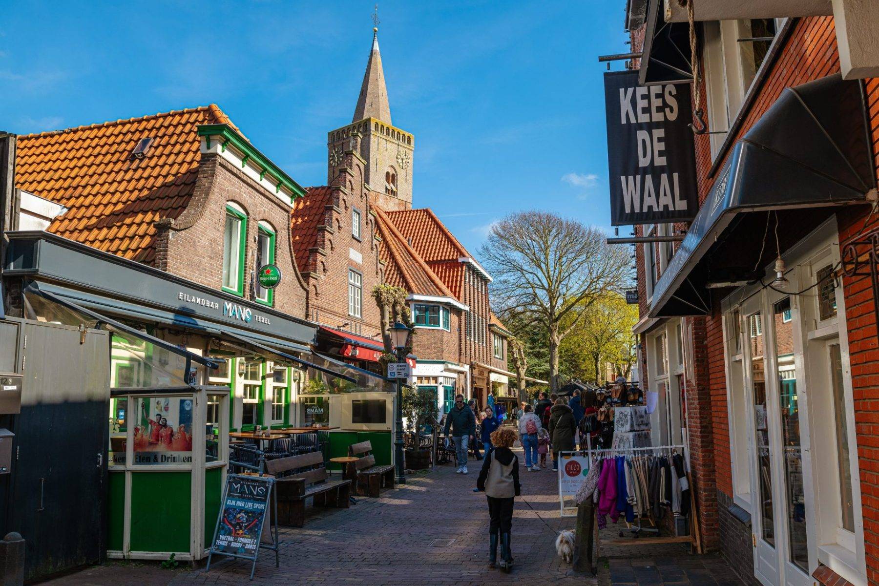 Lale tarlaları, koyunları ve sahiliyle Hollanda'nın sakin destinasyonu: Texel Adası