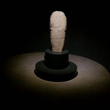 Hayvan otlatan çiftçi bulmuştu, ziyaretçilerin gözdesi oldu