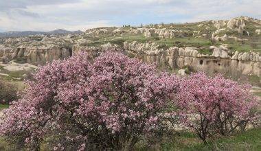 İlkbahar renkleriyle bezenen Kapadokya'da eşsiz manzaralar