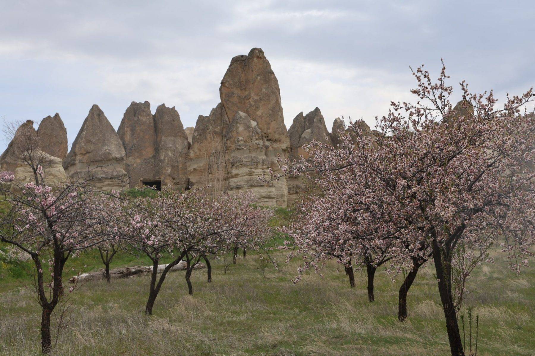 İlkbahar renkleriyle bezenen Kapadokya'da eşsiz manzaralar