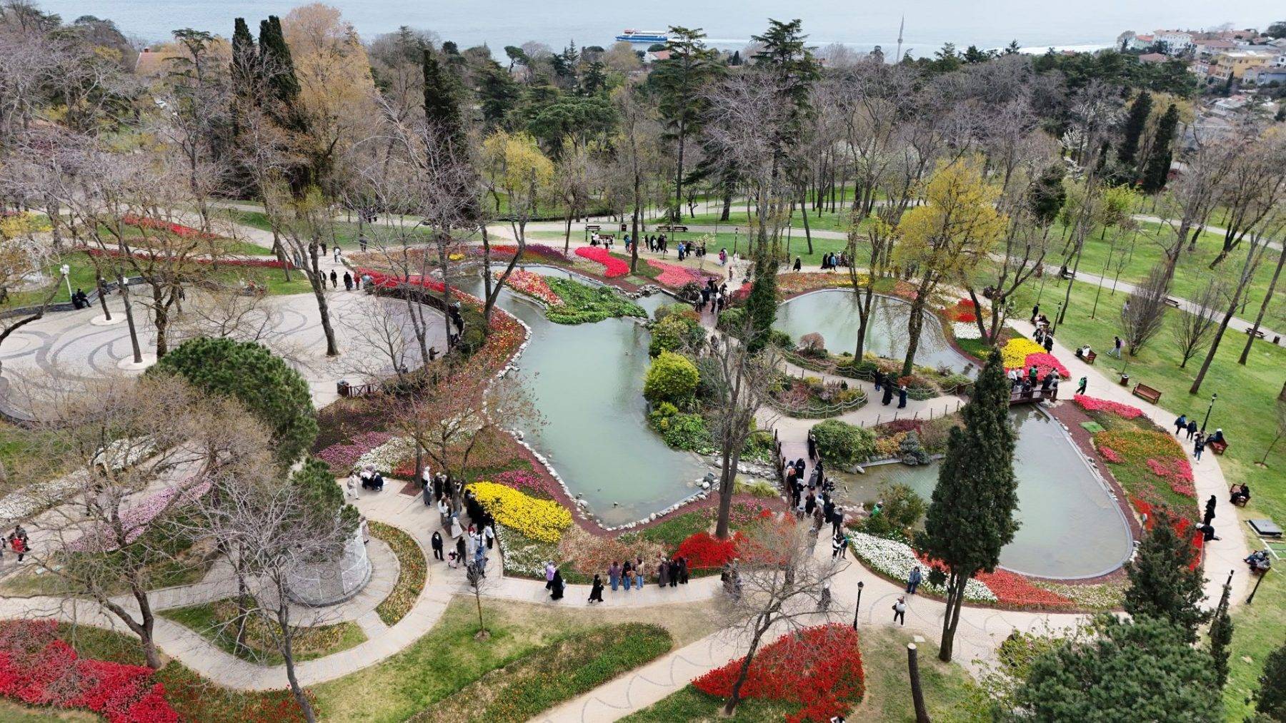 İstanbul'da renk cümbüşü: Laleler park ve koruları süsledi