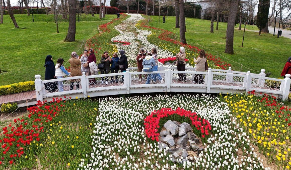 İstanbul'da renk cümbüşü: Laleler park ve koruları süsledi