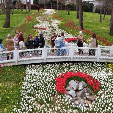 İstanbul'da renk cümbüşü: Laleler park ve koruları süsledi