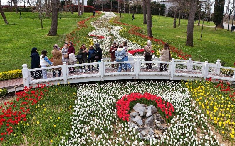 İstanbul'da renk cümbüşü: Laleler park ve koruları süsledi